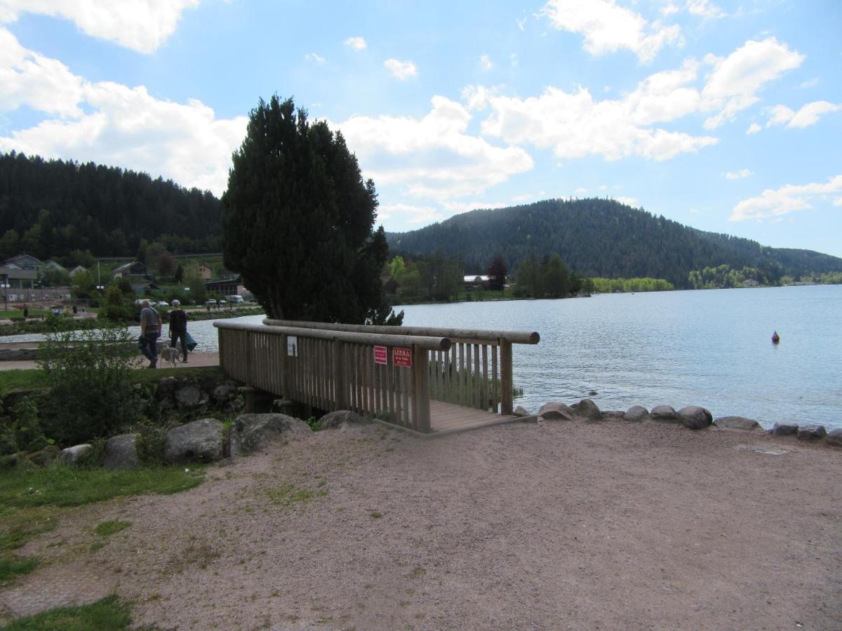 Appartement Les Balcons De La Chalande Le Tholy Gerardmer, Jardin,Balcon, Terrasse, Luaran gambar
