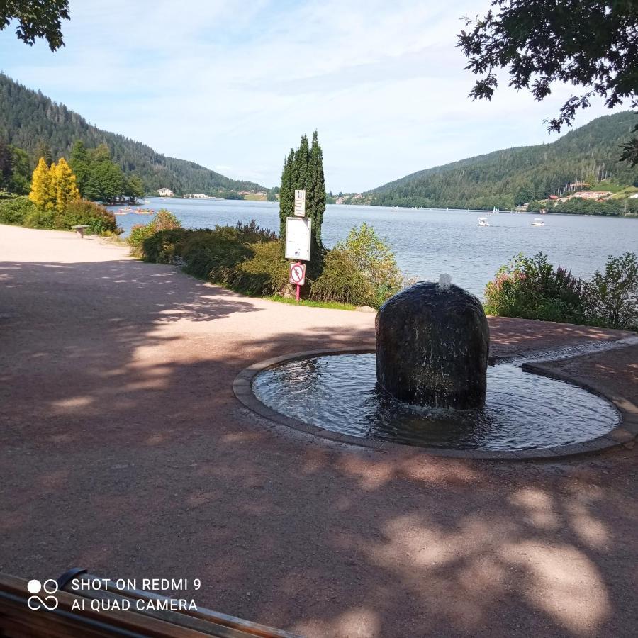 Appartement Les Balcons De La Chalande Le Tholy Gerardmer, Jardin,Balcon, Terrasse, Luaran gambar